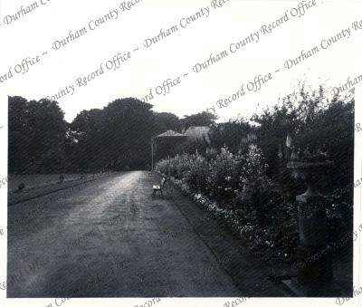 Photograph of garden and walk, looking t... Photograph of garden and walk, looking t...