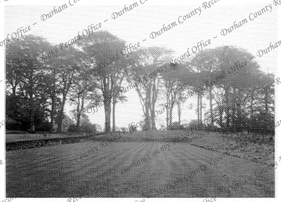 Photograph, looking north-east' from the... Photograph, looking north-east' from the...