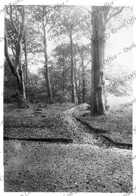 Photograph (looking north?) from path, 1... Photograph (looking north?) from path, 1...