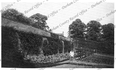 Photograph of kitchen garden, 1926... Photograph of kitchen garden, 1926...