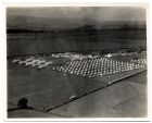Aerial photograph of Bellerby Camp, Yorkshire, 1931