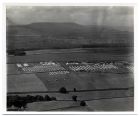 Aerial photograph of Bellerby Camp, Yorkshire, 1931