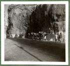 Photograph of a road with a convoy of camels, possibly taken in Aden, c.1941