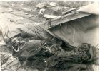 Photograph captioned The remnants left by the rats ¿, showing the decomposed body of a female internee of Belsen Concentration Camp, taken in Germany, April 1945