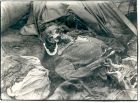 Photograph captioned Close up of the combined handiwork of German sadism, time, rats and now maggots, showing the decomposed body of a female internee of Belsen Concentration Camp, taken in Germany, A