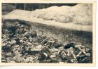 Photograph of a view of the bodies of internees in a pit, taken at Belsen Concentration Camp, Germany, April - May 1945