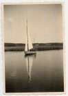 Photograph of soldiers yachting at Lübeck, Germany, June 1945
