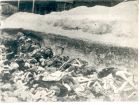 Photograph of a mass grave at Belsen concentration camp, Germany, n.d., [April - May 1945]