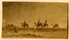 Photograph of a desert scene of men with camels, c.1860