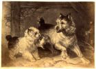 Print of two terriers with a rat, captioned A chip of the old block, c.1860