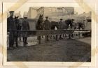 Photograph of the 6th Battalion The Durham Light Infantry horse transport feeding at Bensham Billets, Gateshead, n.d. [1915]