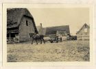 Photograph of a cart-horse pulling a wagon at a farm, captioned: Two views of Colpaert Farm at Hardifort, France, n.d. [1915]