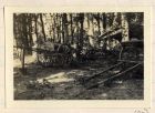 Photograph of carts in woodland, captioned: Water-carts in Potijze Wood, Belgium, n.d. [May 1915]