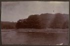Photograph of the River Dart and rowing boat below Totnes, Devon, n.d. [ c. 1918]