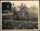 Photograph of a group of British officers with Hubert McBain on the right, in a vegetable plot at the Command Depot, Ripon, Yorkshire, June - July 1918