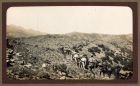 Photograph of an army column moving across hill terrain, North West Frontier Province, India, n.d. [1930]
