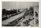 Photograph of a tree-lined road, with a building with ornamental garden to the right, possibly in Egypt, c.1942