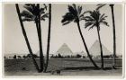 Photograph of the pyramids at Ghiza, Egypt, n.d. [c.1942]