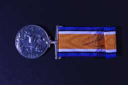 British War Medal (1914-20) - MAJOR E. BORROW