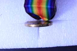 Victory Medal (1914-18) - 6-306 SJT. A. G. BURNIP.