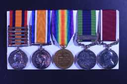 Victory Medal (1914-18) - 24292 W.O.CL.1. S.F. FRICKER. 