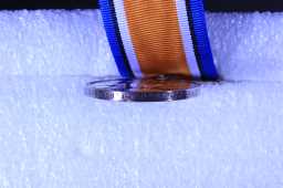 British War Medal (1914-20) - 24292 W.O.CL.1 S.F. FRICKER. 