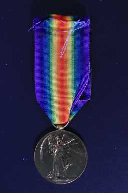 Victory Medal (1914-18) - 6866 PTE. F. GARDNER. DURH.L.I