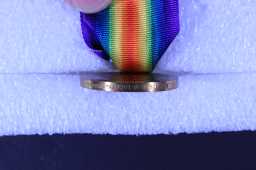 British War Medal (1914-20) - 2530 PTE J A CAPP D.L.I.