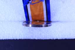 British War Medal (1914-20) - 20728 PTE. C. WATSON. DURH.L.I