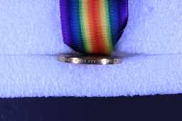 Victory Medal (1914-18) - 6 PTE. R. ALLISON. DURH.L.I.