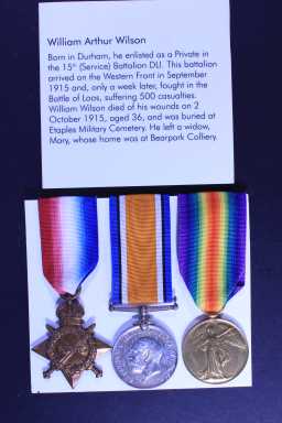 British War Medal (1914-20) - 13526 PTE. W.A. WILSON. D.LI
