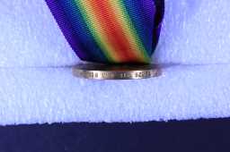 Victory Medal (1914-18) - 13526 PTE. W.A. WILSON. D.L.I