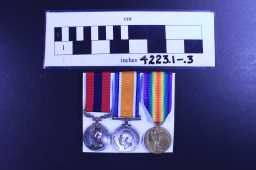 Victory Medal (1914-18) - 3842 PTE. G. BROWN. DURH.L.I.