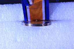 British War Medal (1914-20) - CAPT. F.LL.F. REES.