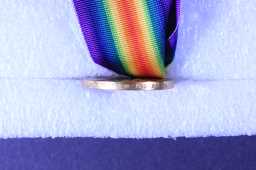 Victory Medal (1914-18) - 14943 SJT. W.H. ANDERSON. DURH