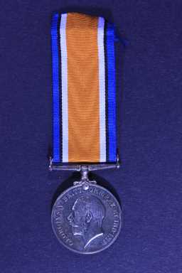 British War Medal (1914-20) - 20395 PTE. W. HARRINGTON. DLI