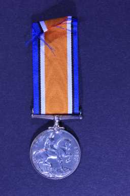 British War Medal (1914-20) - 20395 PTE. W. HARRINGTON. DLI
