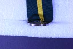 Territorial Force Efficiency - 300017 A.R.S.MJR:G.W. TUCKER.