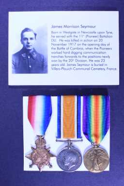 Victory Medal (1914-18) - 25600 PTE. J. SEYMOUR. D.L.I