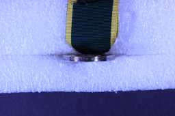 Territorial Efficiency Medal - 7782395 SJT. J.W. HOLLAND. R.A