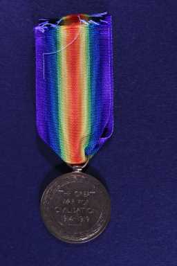 Victory Medal (1914-18) - 32160 SGT. G. HOLBORN. DURH.L.