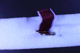 Long Service & Good Conduct - 14591063 W.O.CL.2. N.G TEMPERL