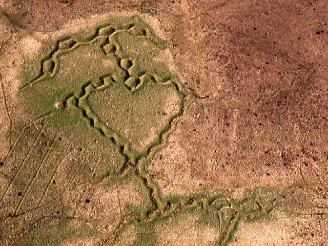 Aerial Photos Of Ww1 Trenches