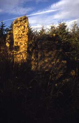 Nafferton Castle, Horsley. Photo by Peter Ryder.