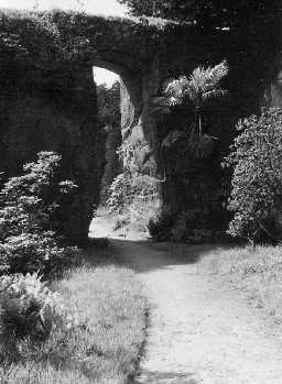 Belsay Quarry Garden. Photo Northumberland County Council, 1956.