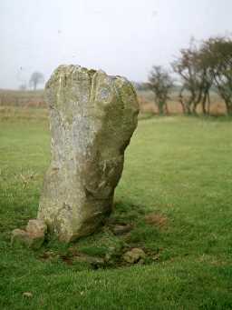 Ingoe standing stone.
Photograph by Harry Rowland.