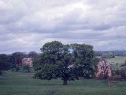 Kirkharle Hall landscape park.
Photo by Harry Rowland.