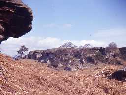 Shaftoe Crags.
Photo by Harry Rowland.