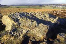 Cup and ring marked stone at Lordenshaws. Photo by Northumberland County Council.