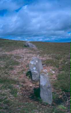 Stone alignment at Lordenshaw, Hesleyhurst. Photo by Northumberland County Council.